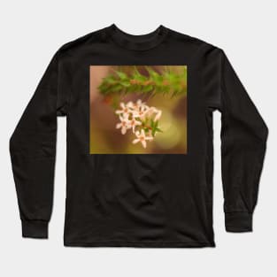 Epacris Pulchella .. Beauty Upon A Summit Long Sleeve T-Shirt